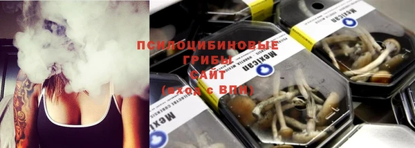 прущий лед Дмитровск