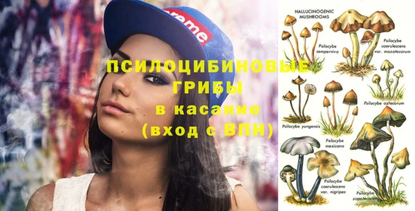 прущий лед Дмитровск