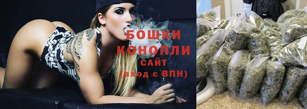 бошки Гусев