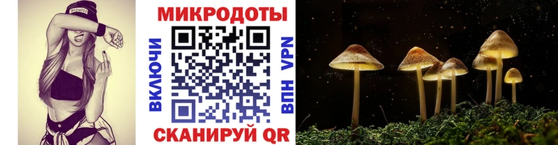 KRAKEN онион  Валуйки  Галлюциногенные грибы мицелий 